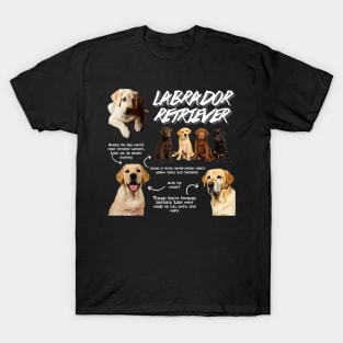 Labrador Retriever Fun Facts T-Shirt